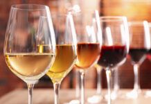 Onesimum: vins ecològics que fusionen sabor i sostenibilitat vino