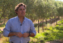 Álvaro Barrera (Ecovalia): «Lo más importante que debemos transmitir es que todo el que quiera ecológico, tiene que buscar la Eurohoja» Álvaro Barrera