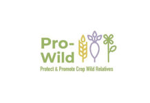 European project “Pro-Wild” to protect and promote crop wild relatives launched "Pro-Wild"