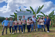 Cocoa tracking instead of greenwashing Cocoa tracking
