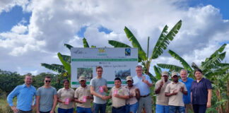 Cocoa tracking instead of greenwashing Cocoa tracking