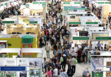 El sector ecològic espanyol celebrarà a BioCultura Madrid 40 anys d’èxit BioCultura Madrid 40 años