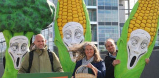 20 new European patents on conventionally bred seeds patents