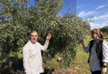 BioCultura, personas inspiradoras tras empresas ejemplares