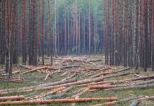 Todos los caminos llevan a un Sistema Alimentario Sostenible Sistema Alimentario Sostenible