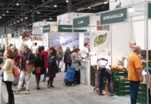 Ecovalia celebrará los 40 años de Biocultura Madrid junto a 14 de sus miembros colaboradores Ecovalia BioCultura