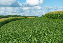 New study confirms the leading role of organic farming in contributing to agriculture’s climate objectives leading role organic farming
