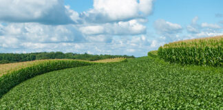 New study confirms the leading role of organic farming in contributing to agriculture’s climate objectives leading role organic farming