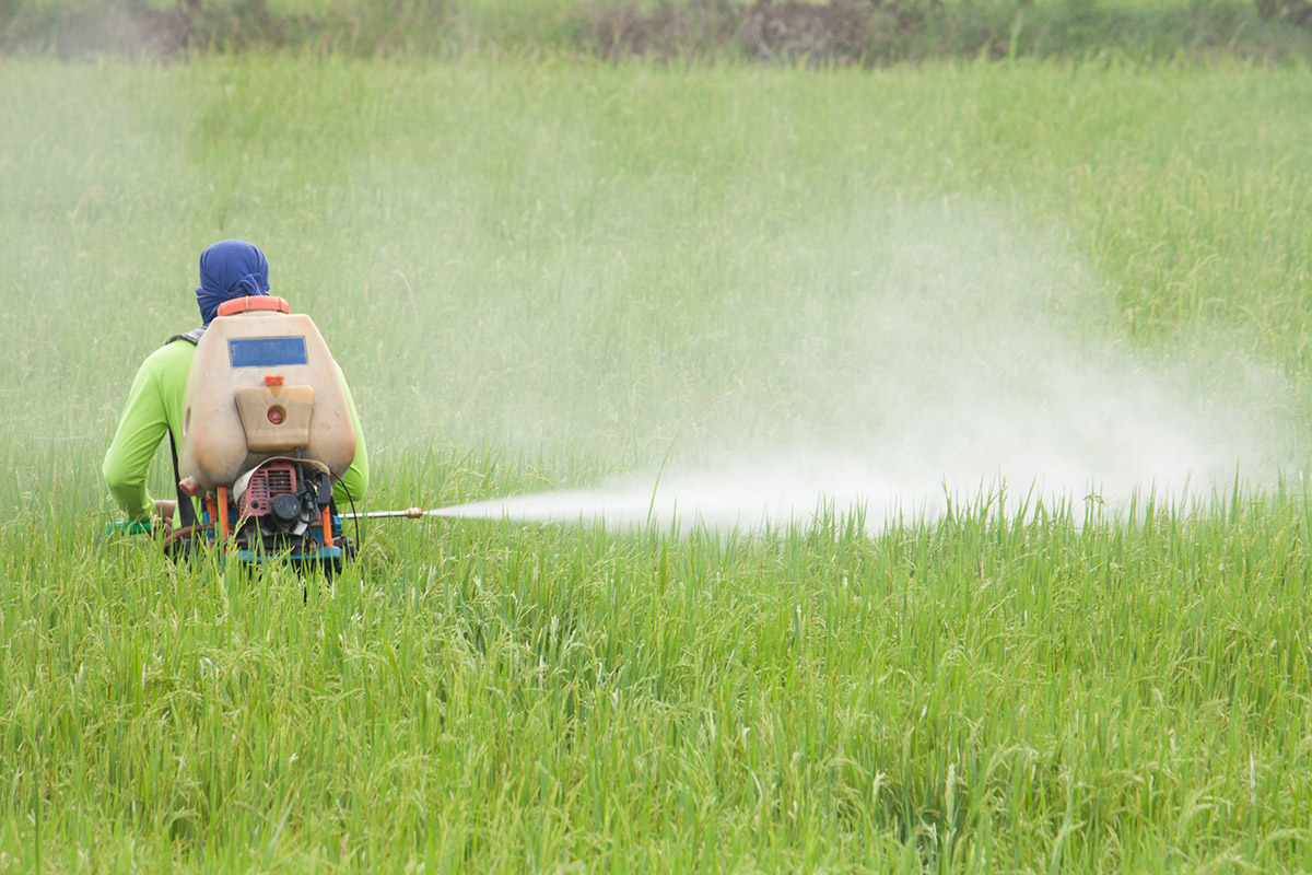 plaguicides 