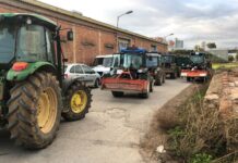 Diversas organizaciones lanzan una campaña para ayudar a los agricultores y agricultoras afectados por la DANA en Valencia DANA