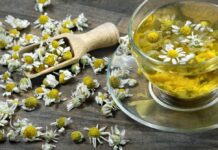 Camamilla: herba digestiva, calmant i antiinflamatòria Manzanilla