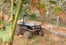 Ecovalia presenta Bioterrabot, un proyecto que fusiona tecnología y biodiversidad Bioterrabot