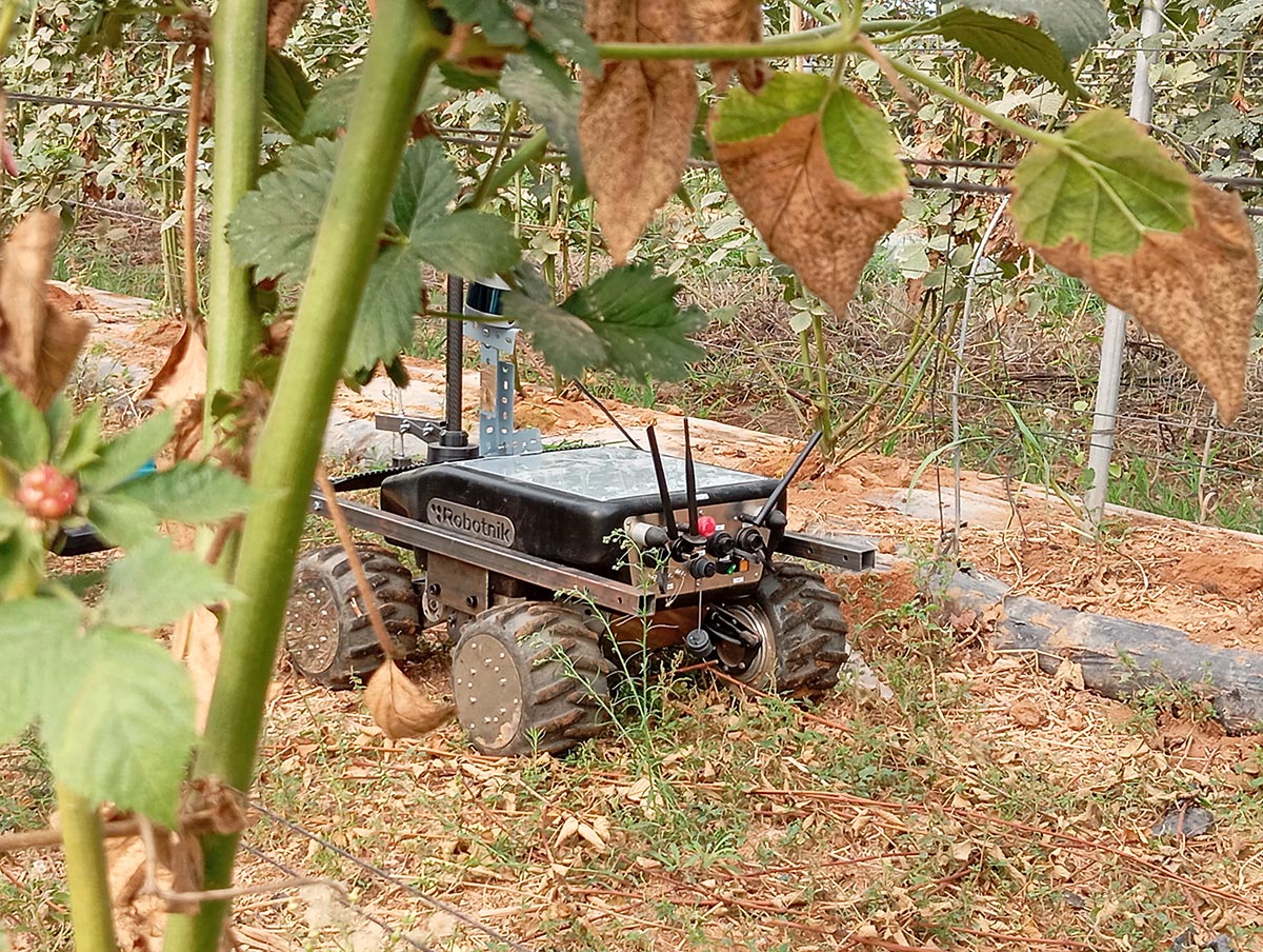 Bioterrabot