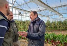 Luis Planas subraya la importancia de la economía circular para una producción agraria más sostenible conomía circular