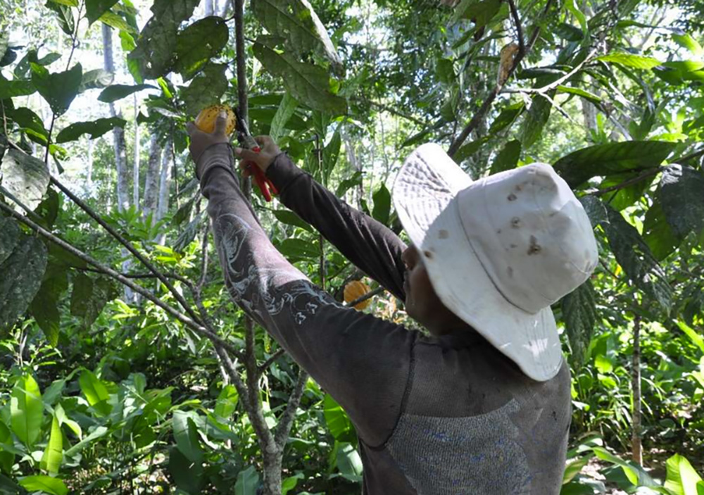 Smallholders new organic regulation