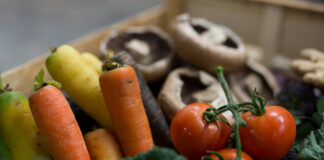 Urgent call for nature-friendly farming to safeguard UK food security UK food security