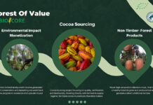 Discover BioCore’s high-quality organic agricultural commodities at BIOFACH 2025