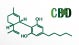 CBD (1)