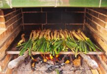 Calçots: un regalo de la tierra con historia y tradición calçots