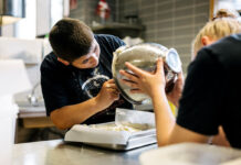 Public meals: a driver for organic food and farming! Public meals