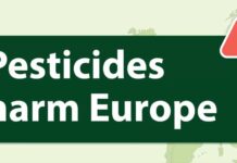 EU policies should support farmers to reduce harmful pesticides