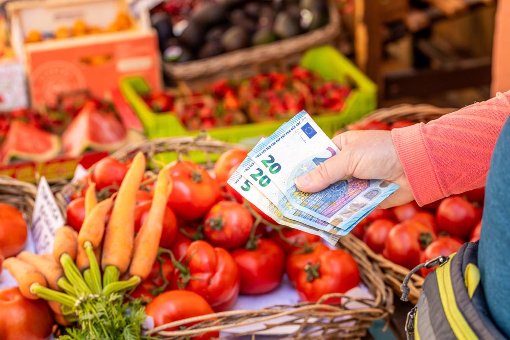 sistema alimentario