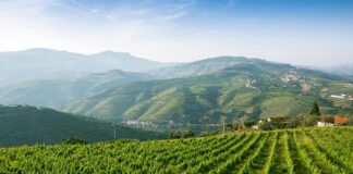 Demand for organic products in Portugal on the rise Portugal