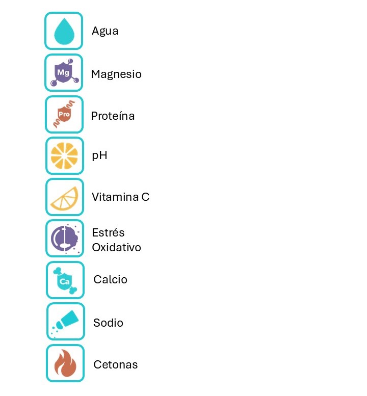 9 valores vivoo