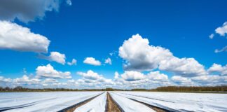 Organic regions and cities; empowerment of local organic Organic regions