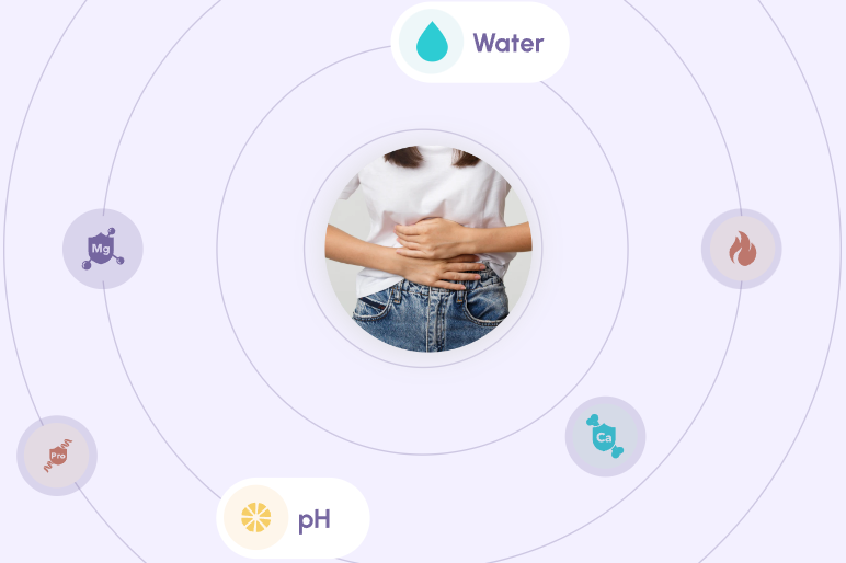 Digestion