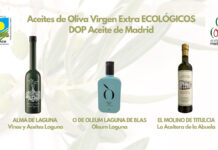 Cata de aceites ecológicos con la DOP Aceite de Madrid: calidad, sabor y tradición con el mayor respeto a la naturaleza DOP Aceite de Madrid
