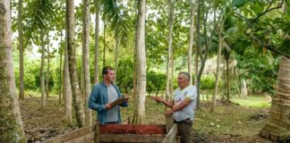 Sustainability and Double Materiality Sostenibilidad