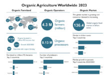 Global organic area nears 99 million hectares – organic market back on track