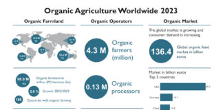 Global organic area nears 99 million hectares – organic market back on track