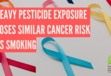 Heavy pesticide exposure poses similar cancer risk as smoking pesticide exposure