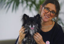 Introducció a l’aromateràpia veterinària: nova masterclass online de Terpenic masterclass terpenic