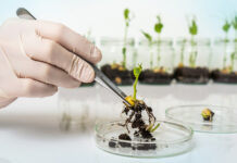 Latest compromise text on “new genomic techniques” has severe deficiencies with worrisome consequences for european breeders, farmers, and food industry “new genomic techniques”
