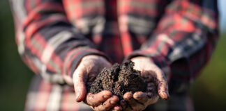 Regenerative organic Regenerative organic