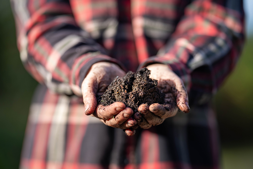 Regenerative organic