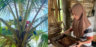 Indonesia’s sweet spot: making an impact with organic coconut sugar coconut sugar