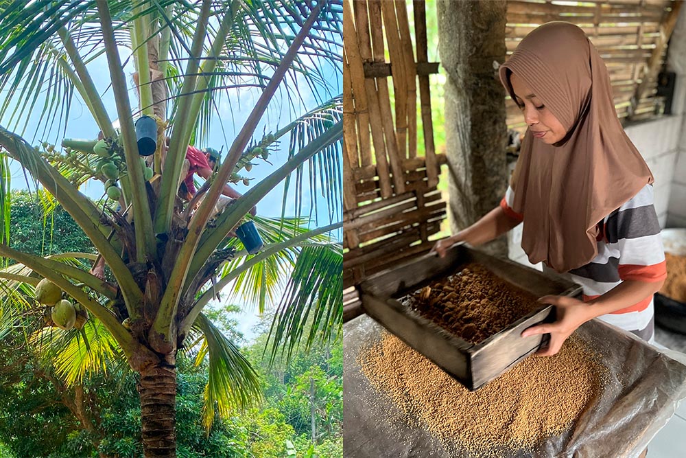 coconut sugar