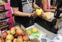 Galícia Ecològica: 6a edició de BioCultura a EXPOCoruña del 7 al 9 de març BioCultura