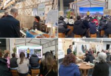 El sector ecológico gallego saca pecho en BioCultura A Coruña BioCultura A Coruña 2025
