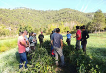 La producció ecològica d’horta i l’agricultura regenerativa encapçalen els cursos de l’Escola Agrària de Manresa Escola Agrària de Manresa