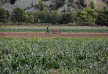Aneto Natural: l’autèntic sabor del caldo amb un impacte positiu Aneto