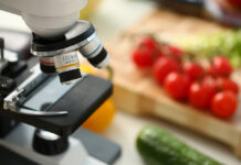 New genomic techniques (NGT): OPTA Europe calls to protect organic industry and consumers with clear and enforceable rules new genomic techniques