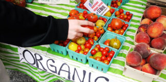 UK Government’s SFI closure risks sustainable farming and organic growth