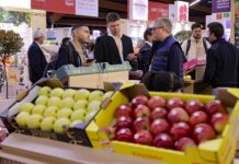 El sector hortofructícola té la trobada industrial de referència amb medFEL 2025 medFEL 2025
