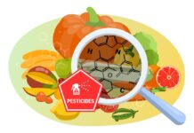 Analitzant l’ús de pesticides a l’agricultura moderna i la seva presència en aliments quotidians pesticidas