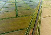 Organic farming insufficiently addressed in draft EU Water Resilience Strategy Water Resilience Strategy